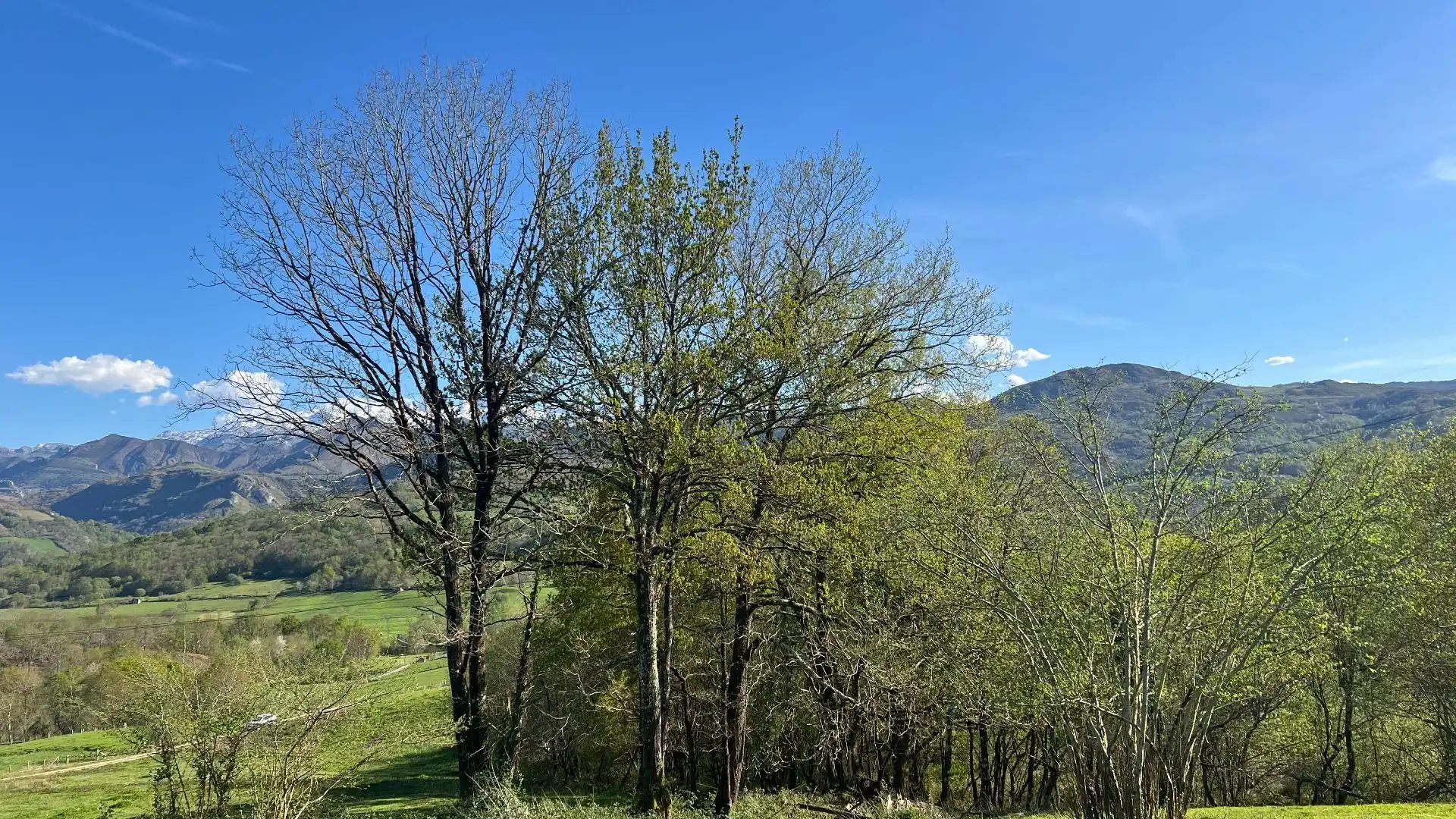 Terreni e lotti in vendita a Cangas de Onís, imagen 13