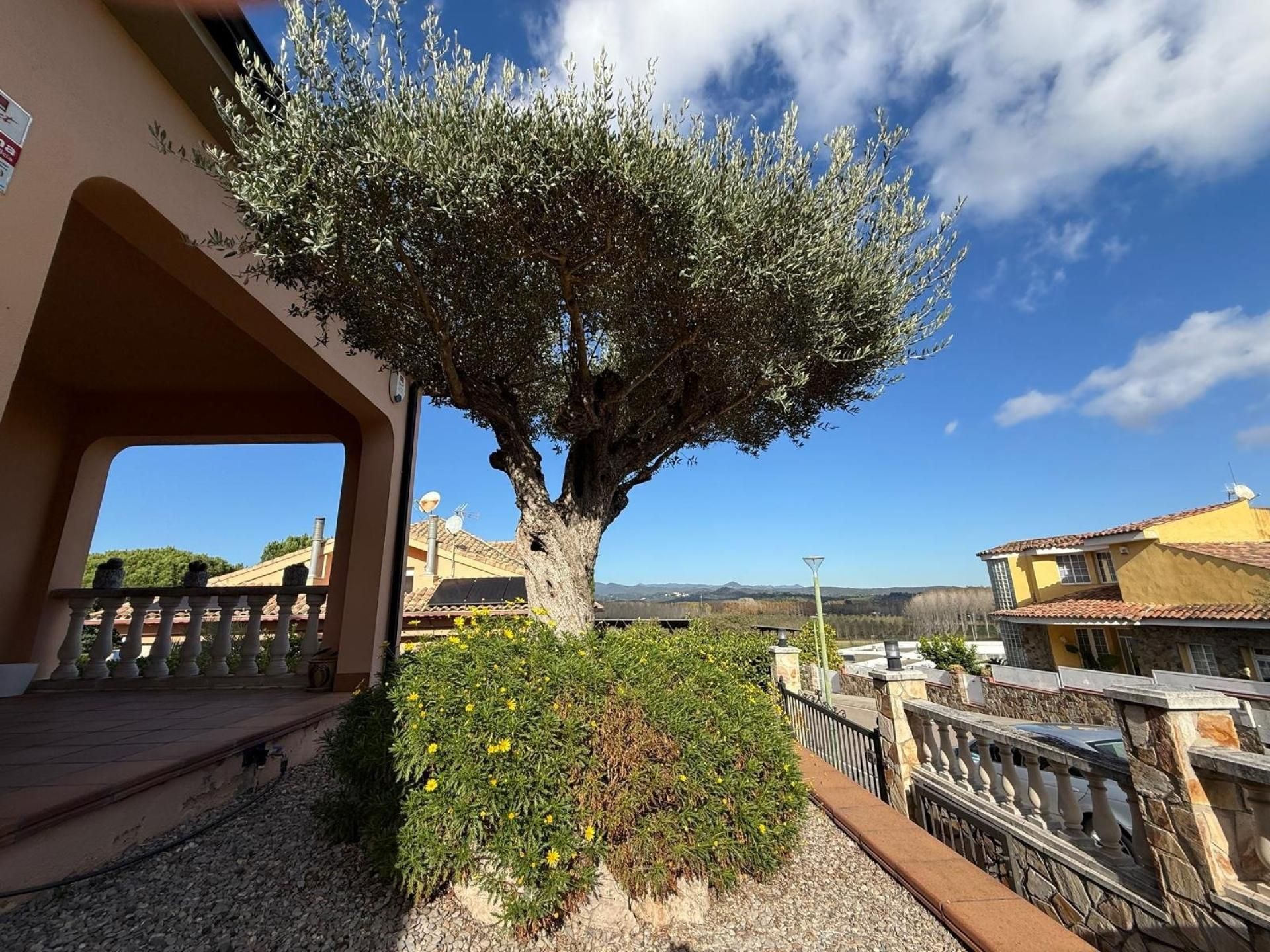 Vista exterior de Casa o xalet en venda en Fogars de la Selva amb Aire condicionat, Calefacció i Terrassa