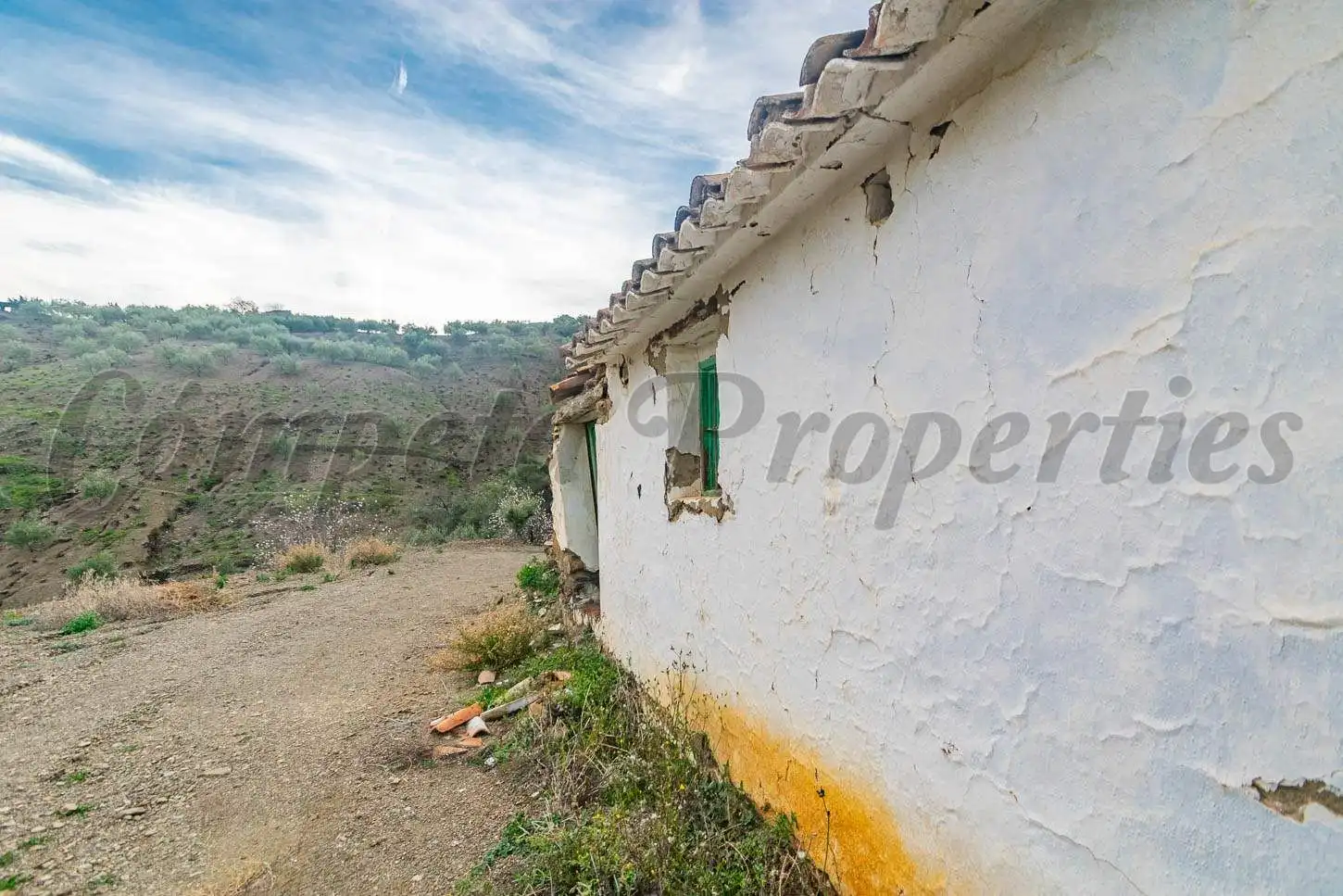 Terreno rustico in vendita a Árchez, imagen 17