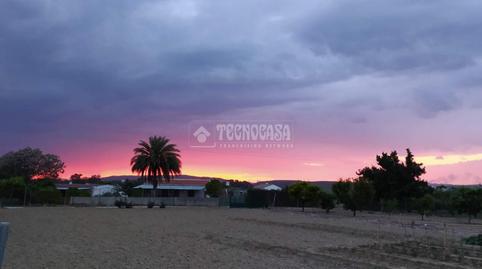 Foto 5 de Finca rústica en venda a Camino del Asno, Pedro Abad, Córdoba