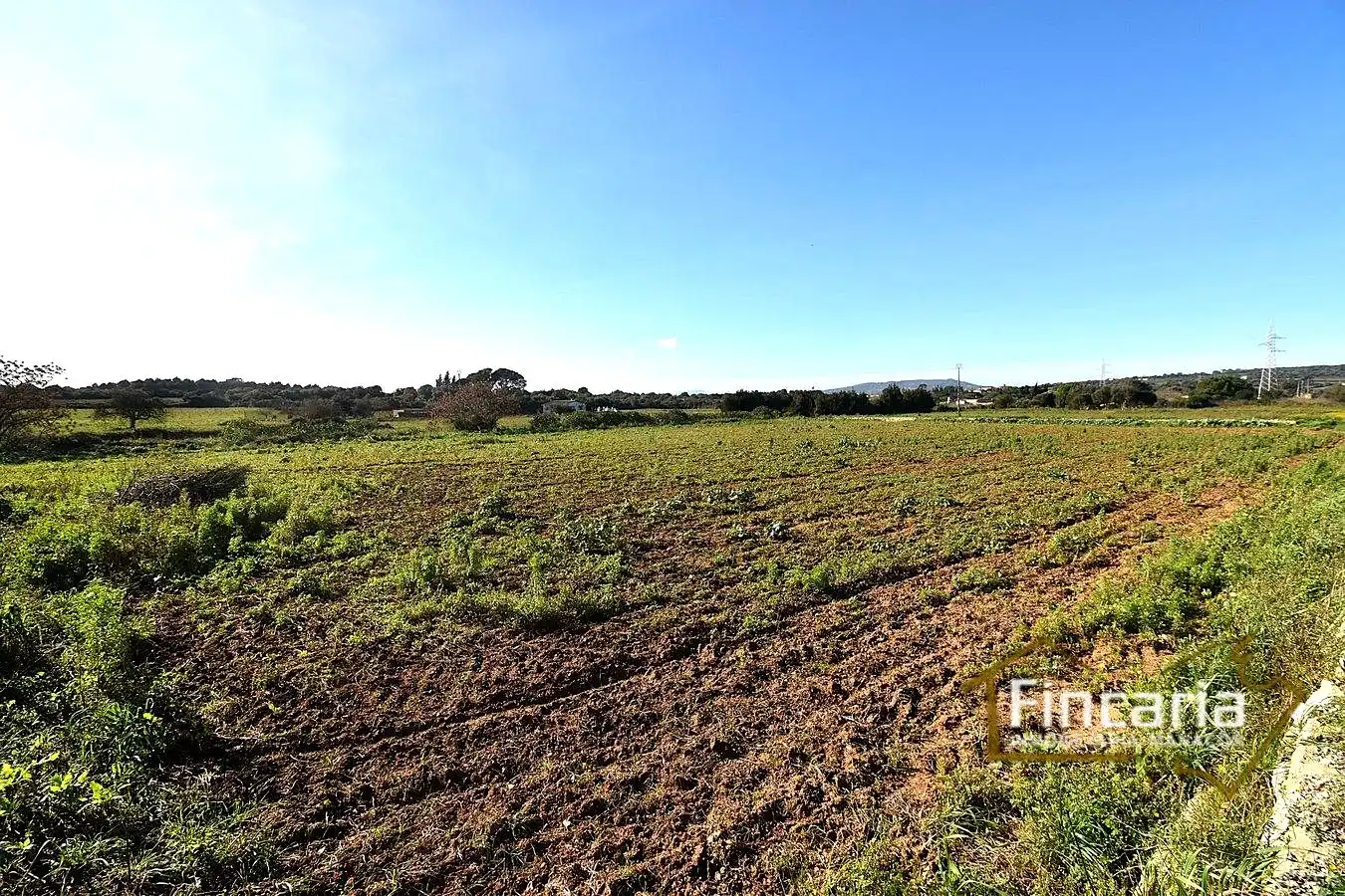 Country house zum Verkauf in Manacor