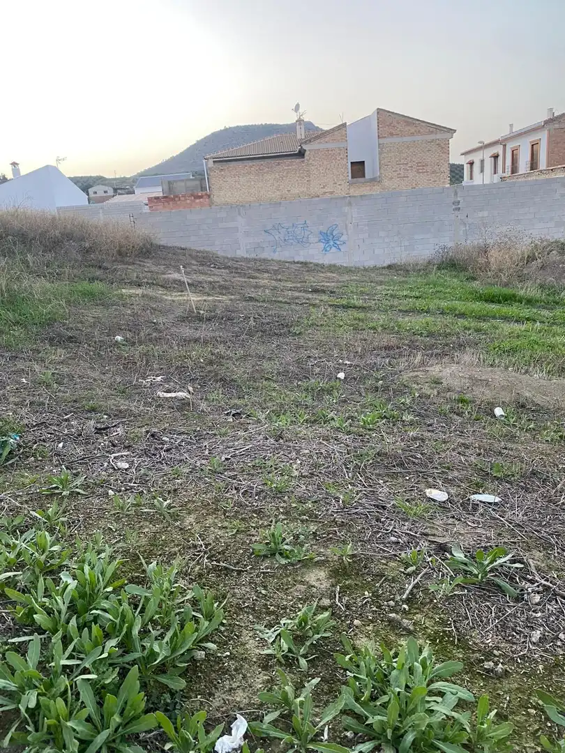 Grundstücke und Bauplätze zum Verkauf in Alameda