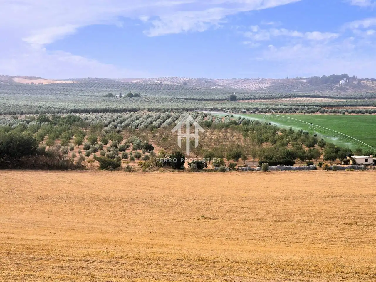 Rural land for sale in Moraleda de Zafayona, imagen 3