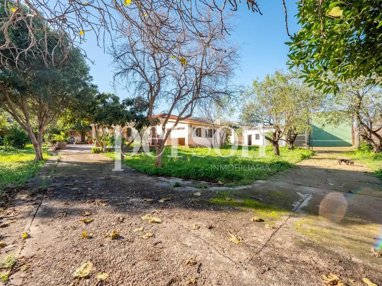 Vista exterior de Casa o chalet en venta en Chiva con Jardín privado, Terraza y Piscina