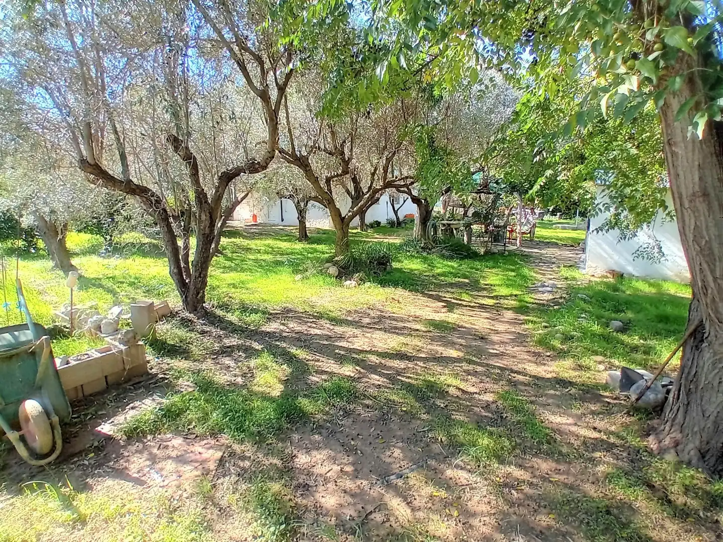 Casa o xalet en venda en Cheste amb Jardí privat i Terrassa