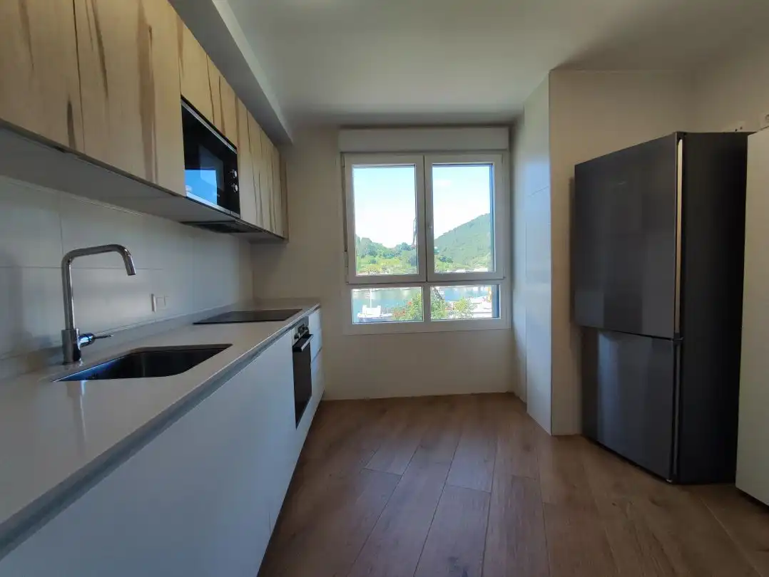 Flat for rent in Paseo casares, Altza