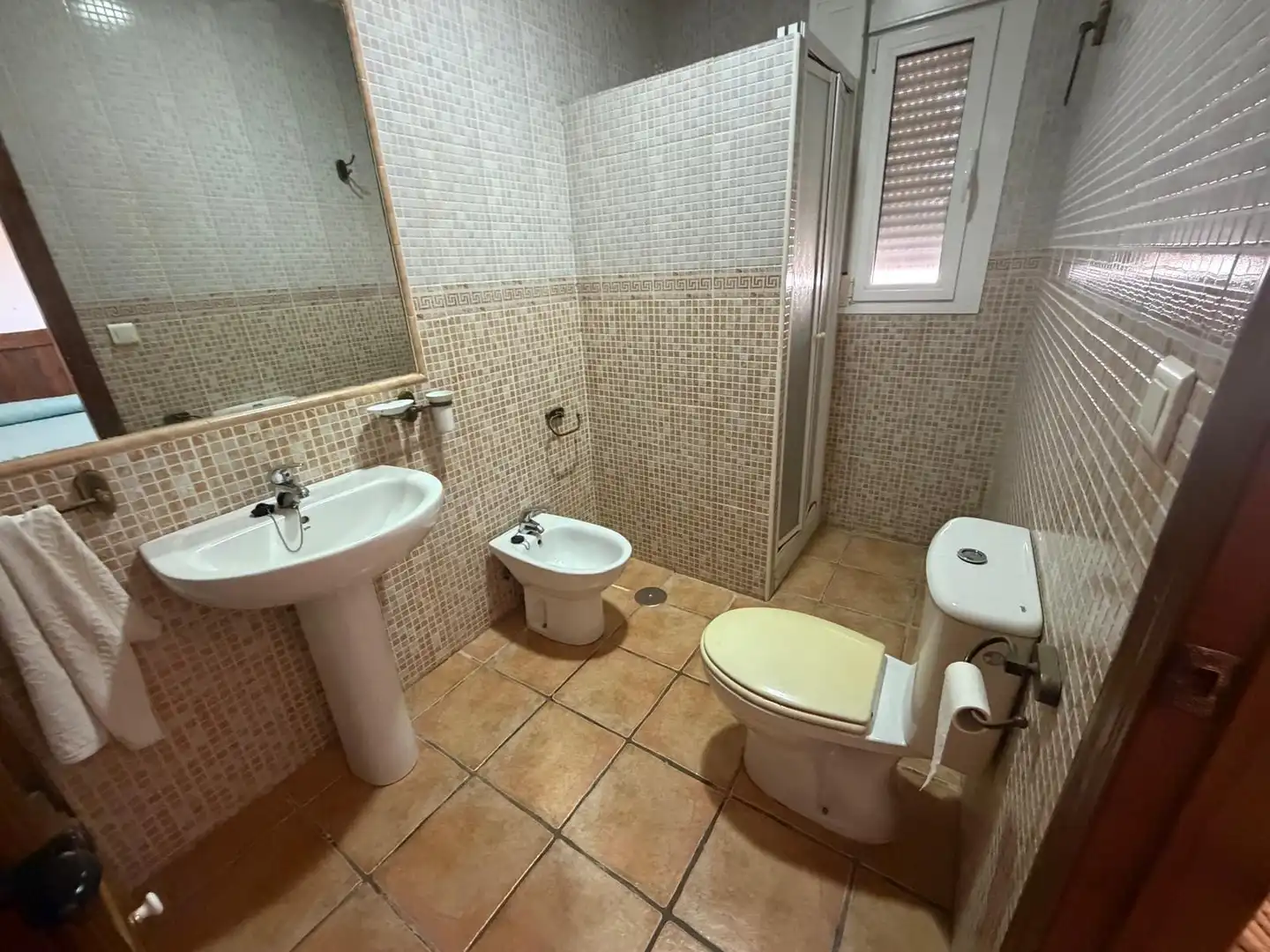 Baño de Casa o chalet en venta en Chiclana de la Frontera con Jardín privado, Terraza y Trastero