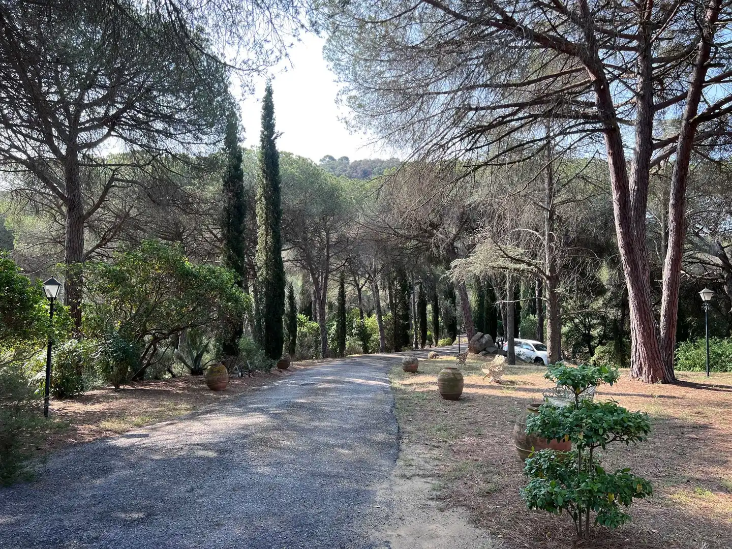 Haus mit Pool zum Verkauf in Llinars del Vallès, imagen 10