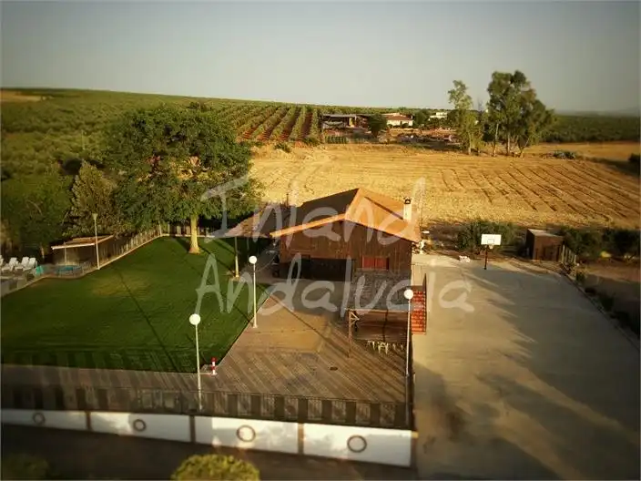 Casa con piscina in vendita a La Carlota, imagen 4