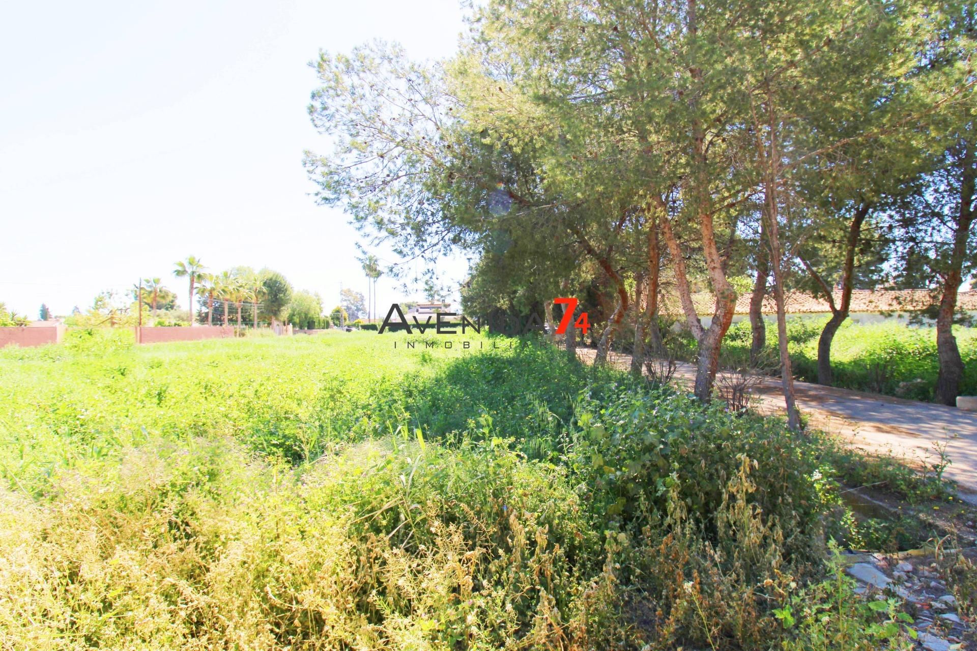 Casa o xalet en venda en Lorca