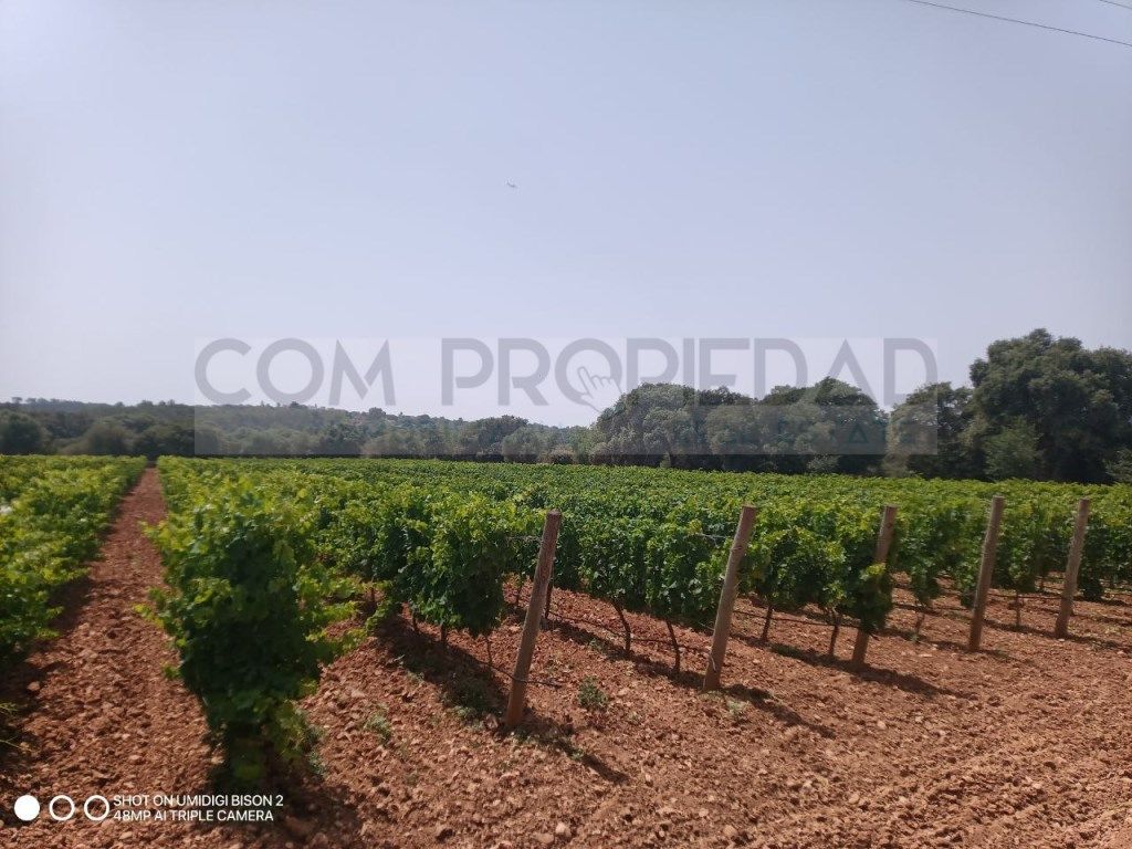 Casa o chalet en venta en Costitx