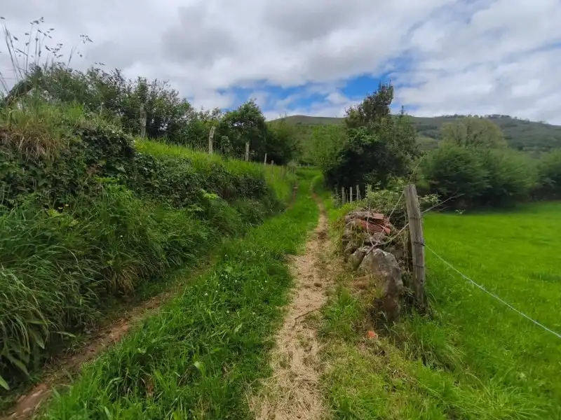 Rural land for sale in Rionansa, imagen 8