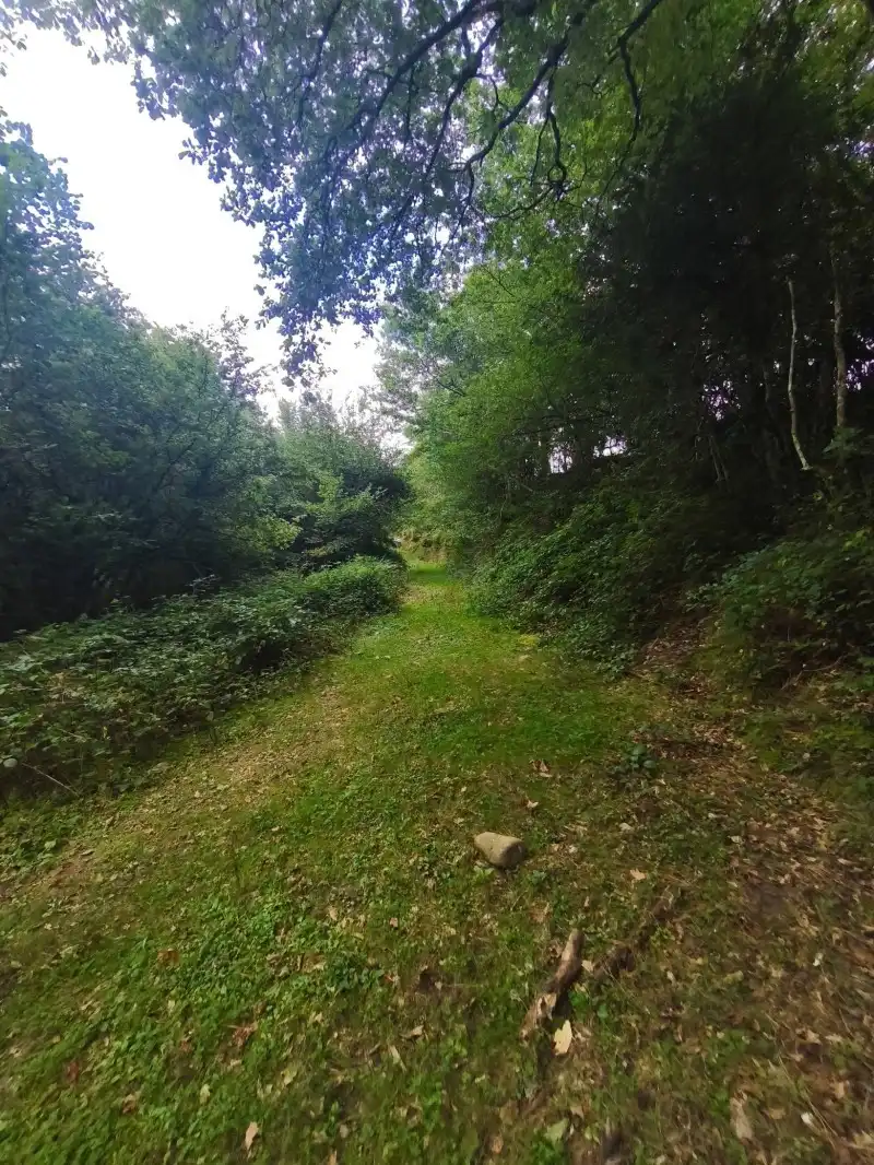 Villa avec jardin à vendre à Rionansa, imagen 38