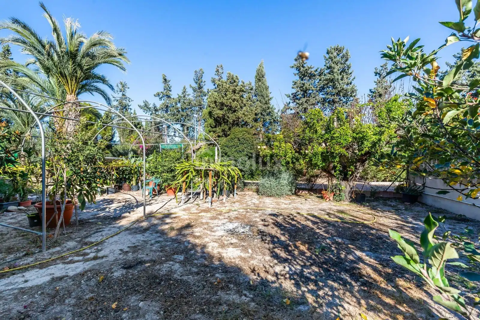 Jardí de Casa o xalet en venda en Alicante / Alacant amb Aire condicionat, Calefacció i Jardí privat