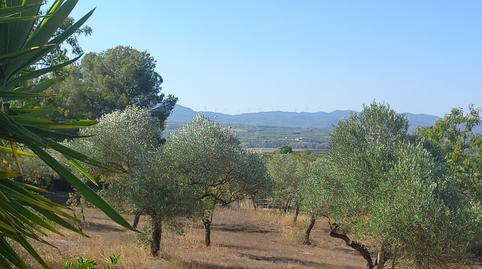 Foto 5 de Casa o xalet en venda a Cami Disseminat, S/n, Ginestar, Tarragona