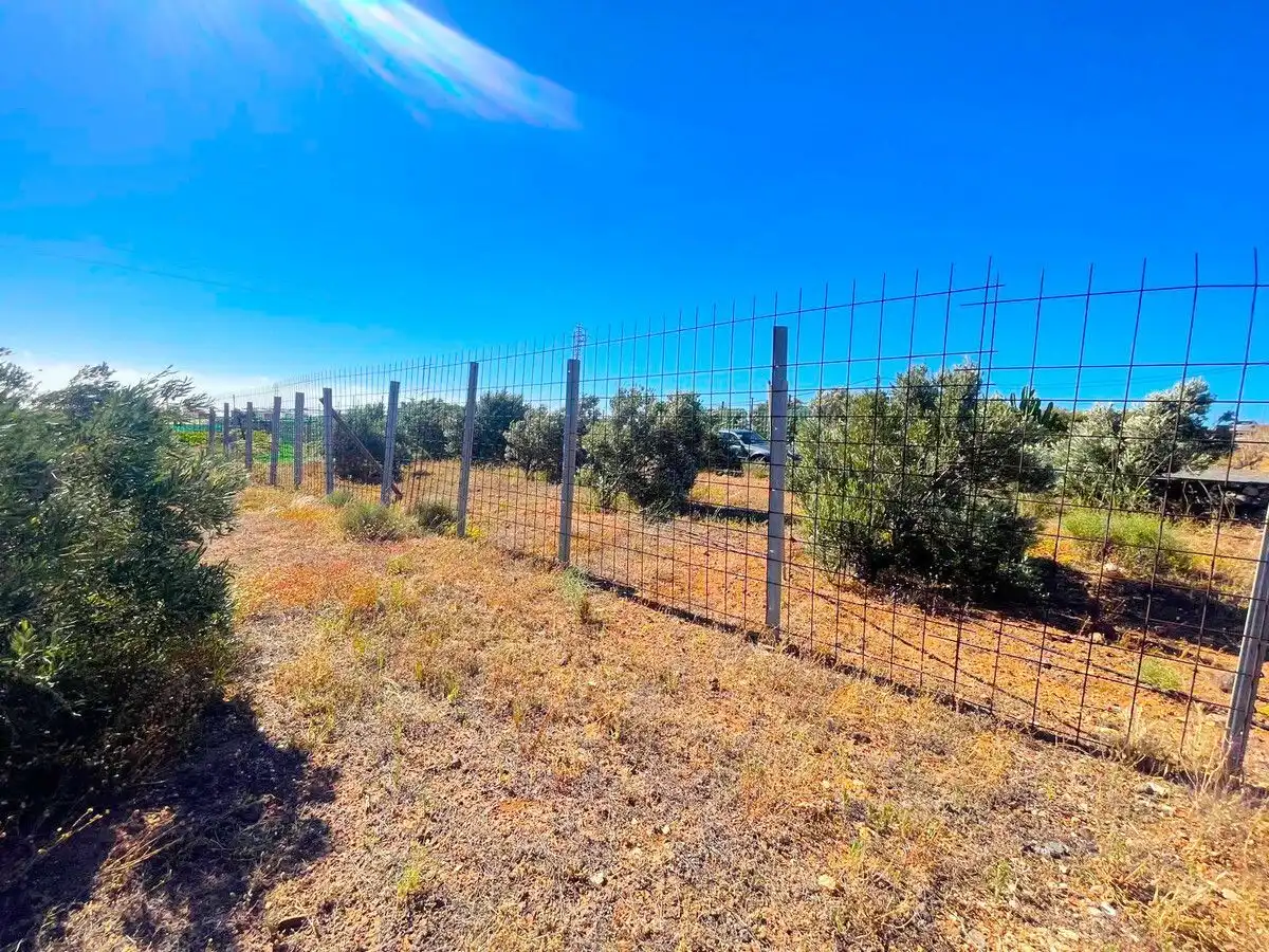 Land for sale in Ingenio