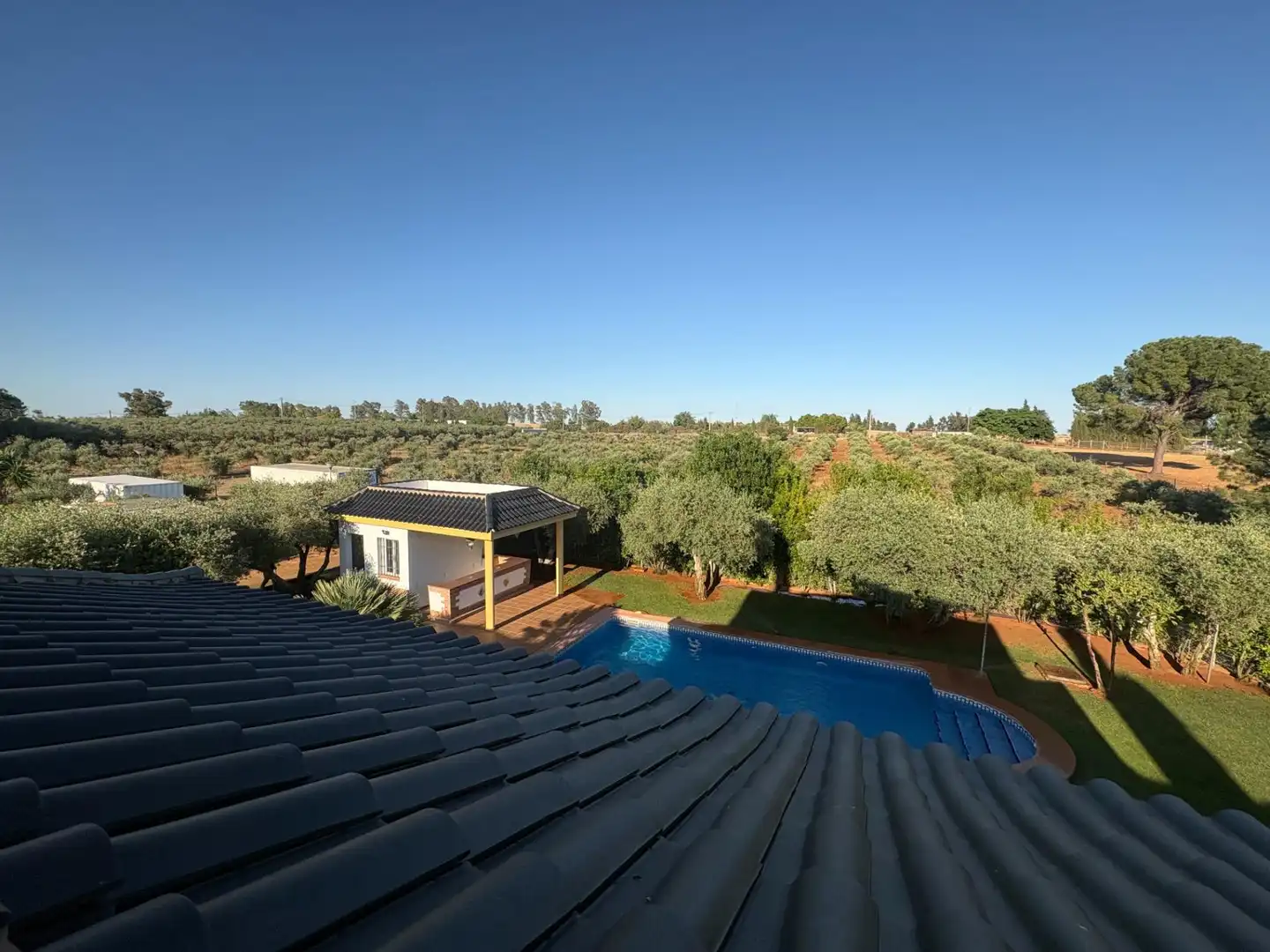 Piscina de Casa o chalet en venta en Mairena del Alcor