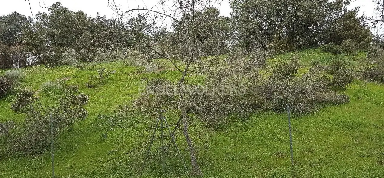 Terrenos y solares en venta en Las Matas  - Peñascales, imagen 8