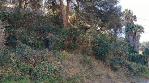 TERRENO EN CALA CANYELLES, imatge 5