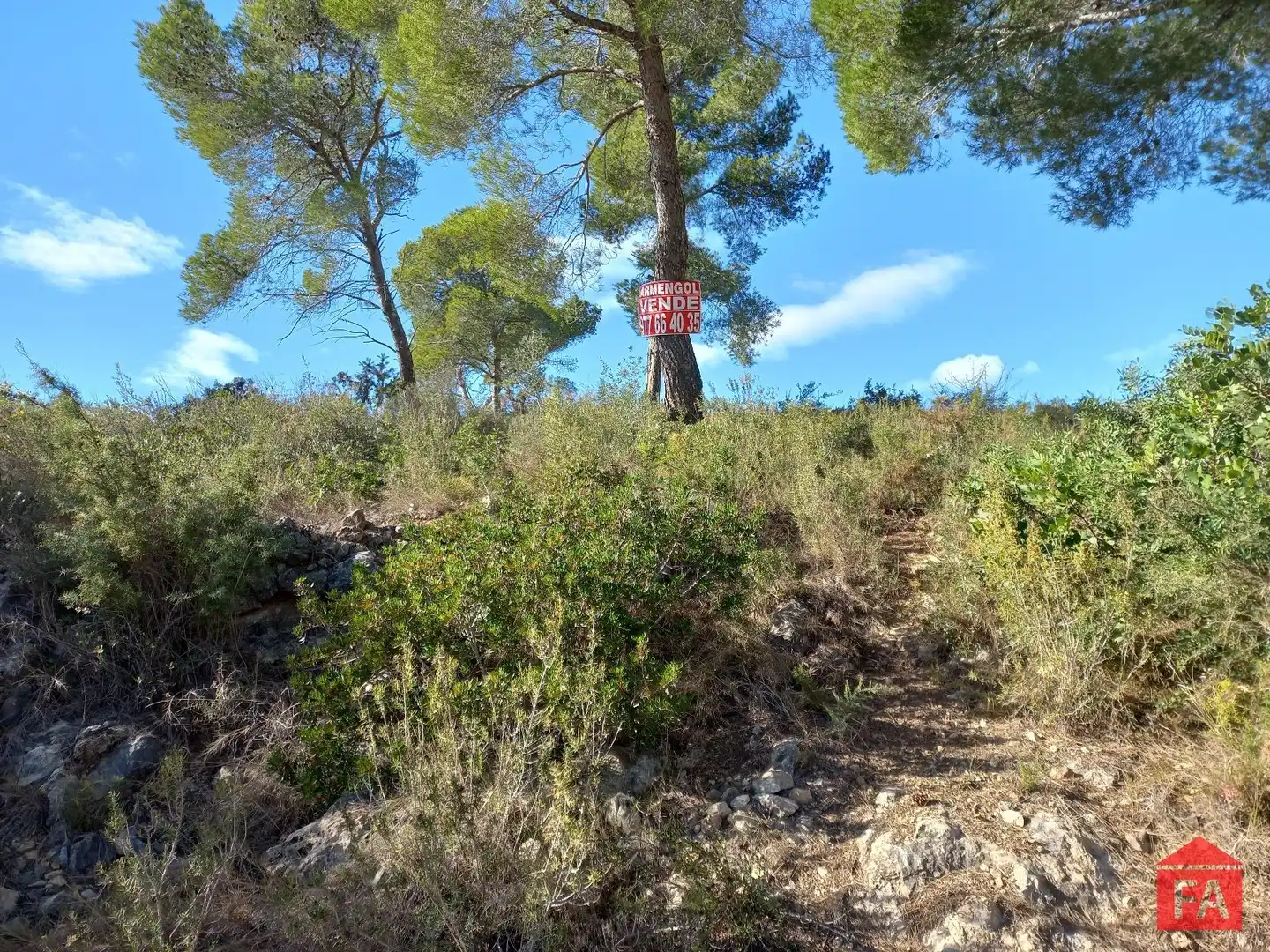 Terreny rústic en venda a La Bisbal del Penedès, imagen 7