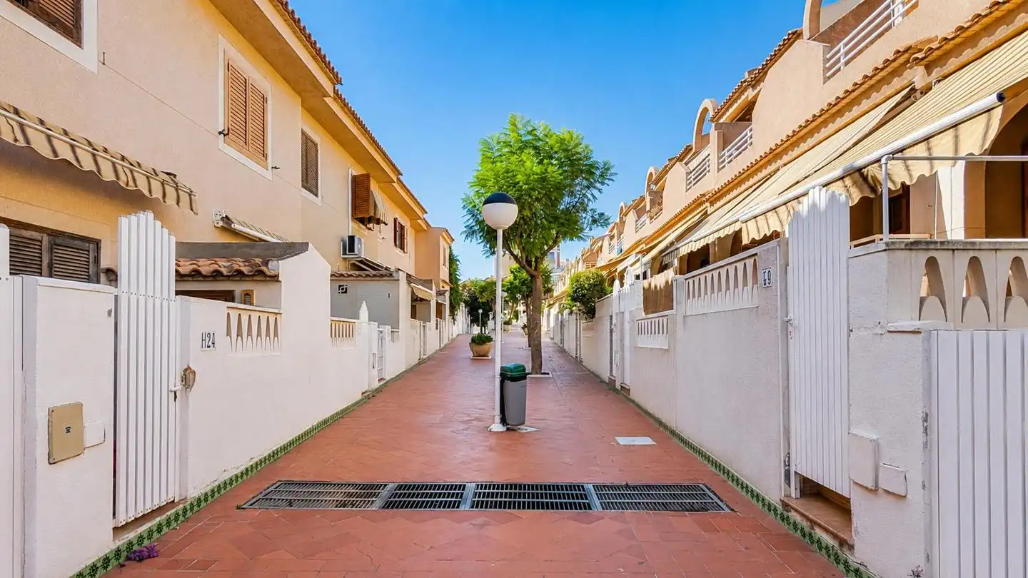 Exterior view of Detached homes for sale in Elche / Elx  with Terrace, Storage room and Swimming Pool