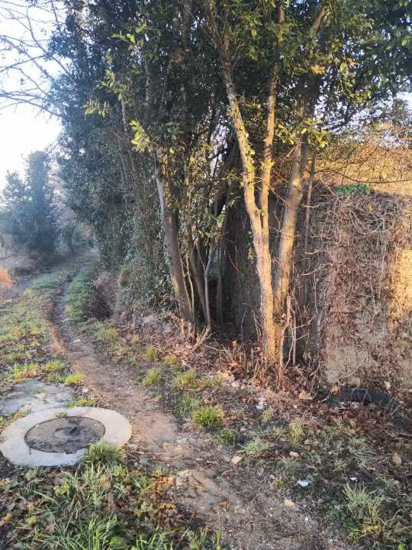 Terreni e lotti in vendita a Lugar Quintela, imagen 15