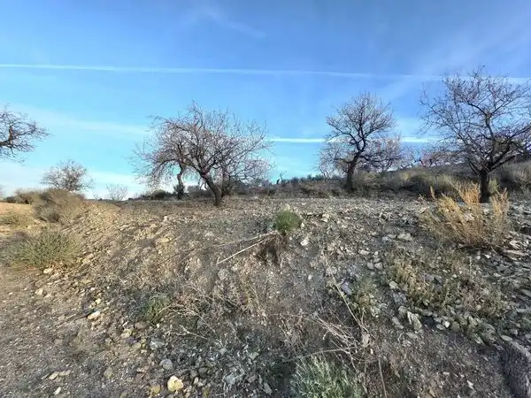 Finca rústica en venta en Lorca