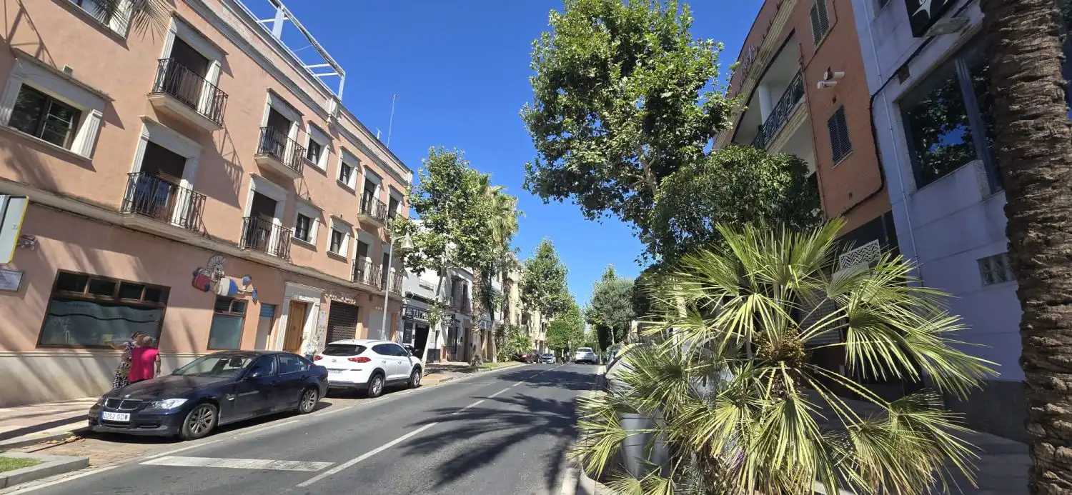 Gewerbefläche zum Verkauf in Nueva Alcalá, imagen 4
