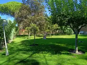 Chalet con piscina en venta en El Bosque, imagen 98