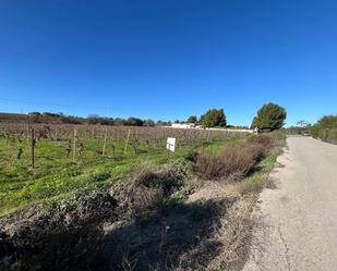 Finca rústica en venda en Jerez de la Frontera amb Traster i Alarma