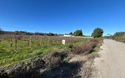 Finca rústica en venda en Jerez de la Frontera amb Traster i Alarma