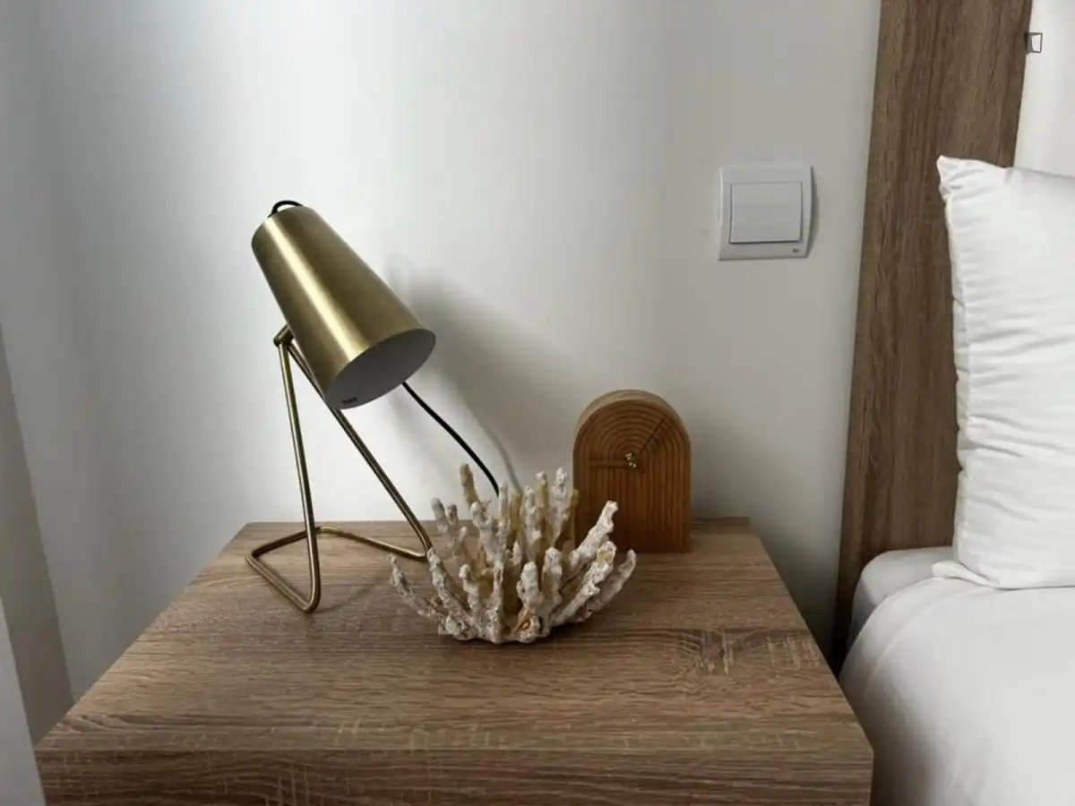 Habitación de Apartamento de alquiler en Vigo  con Calefacción, Amueblado y Horno