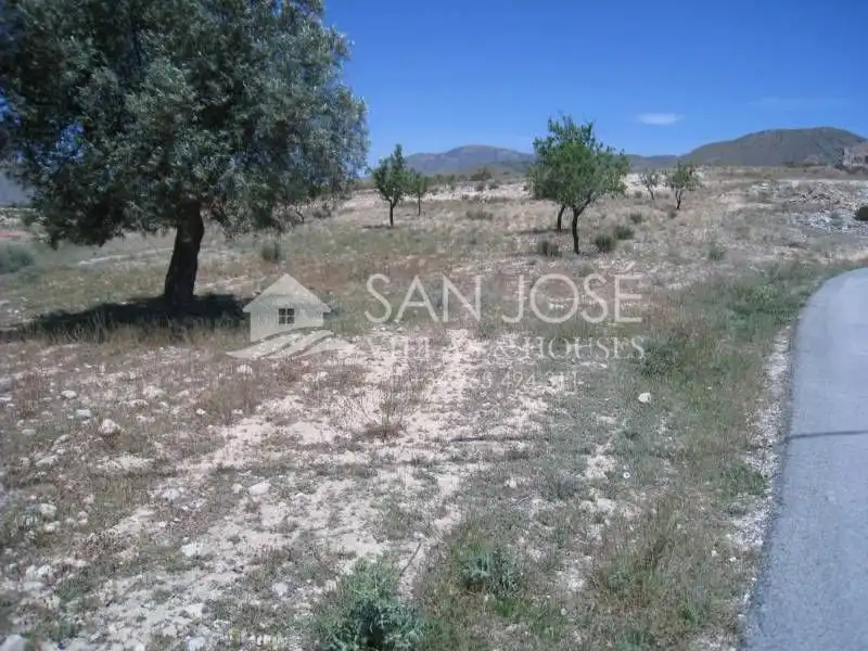 Terreno rústico en venta en Hondón de los Frailes