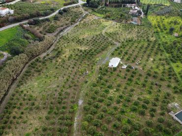 Terreny rústic en venda a Diseminado Poligono 22, 75, 29593, Málaga, Spain