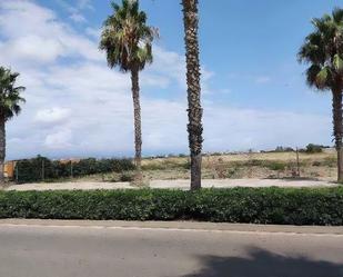 Exterior view of Land for sale in Sagunto / Sagunt