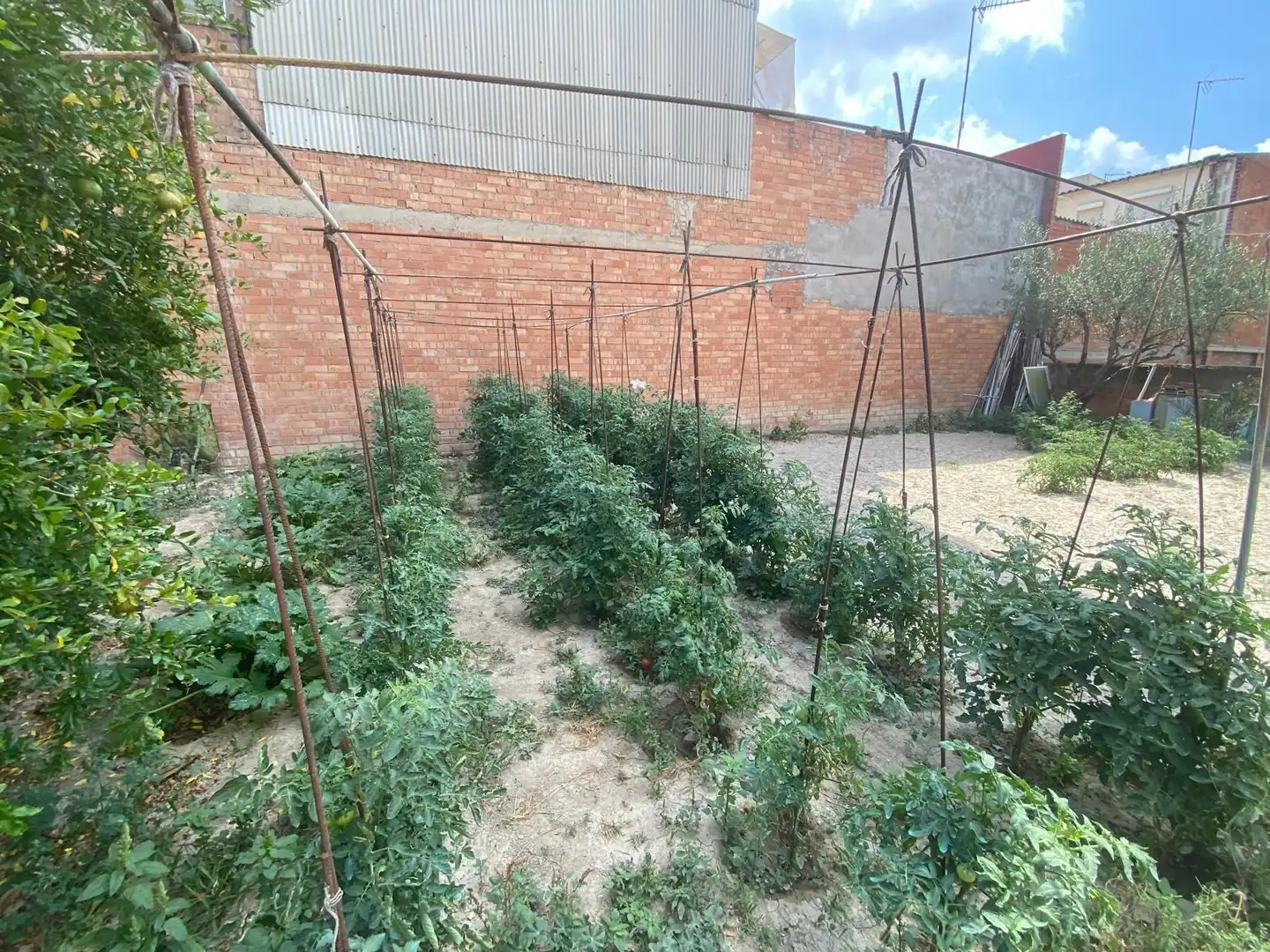Terrenos y solares en venta en Vilanova del Camí, imagen 4