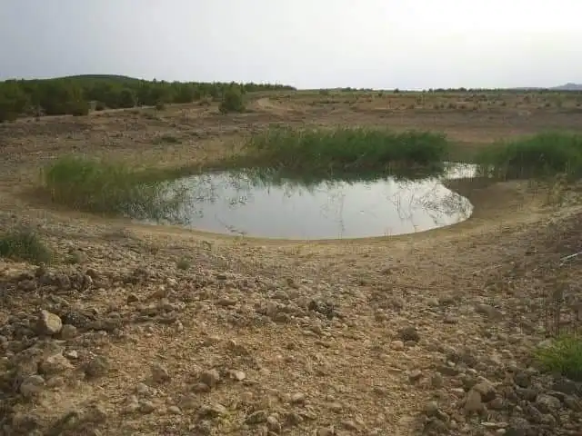 Residential land for sale in Yecla, imagen 2