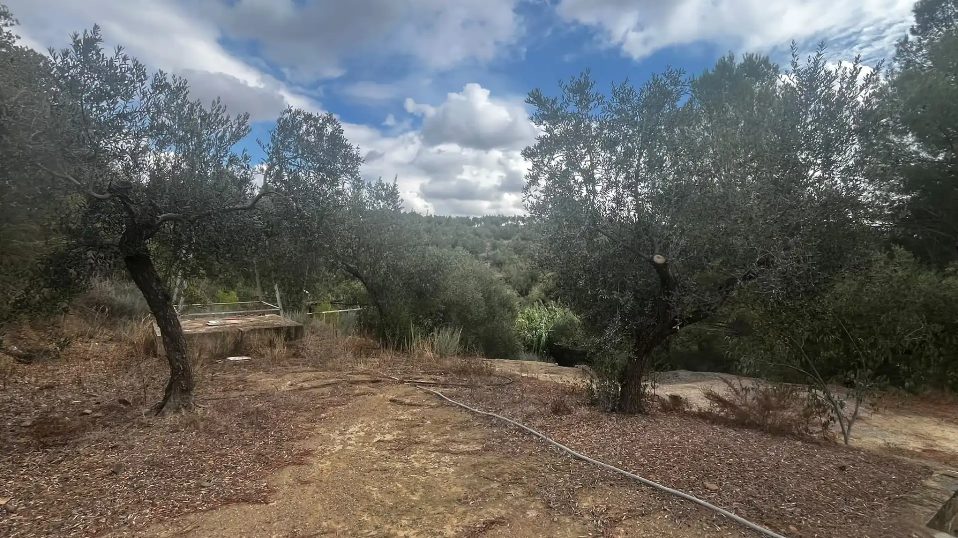 Terreno rustico in vendita a Carrer de Sant Abdó i Sant Senén, imagen 29