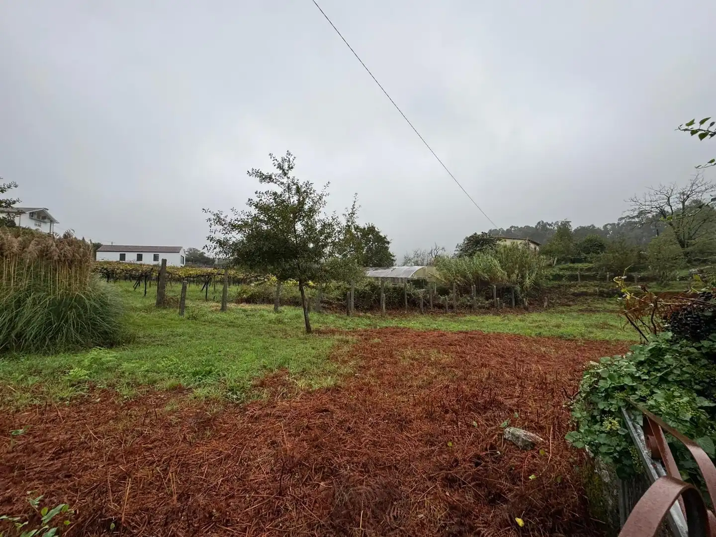 Lands and plots for sale in Soutomaior, imagen 8