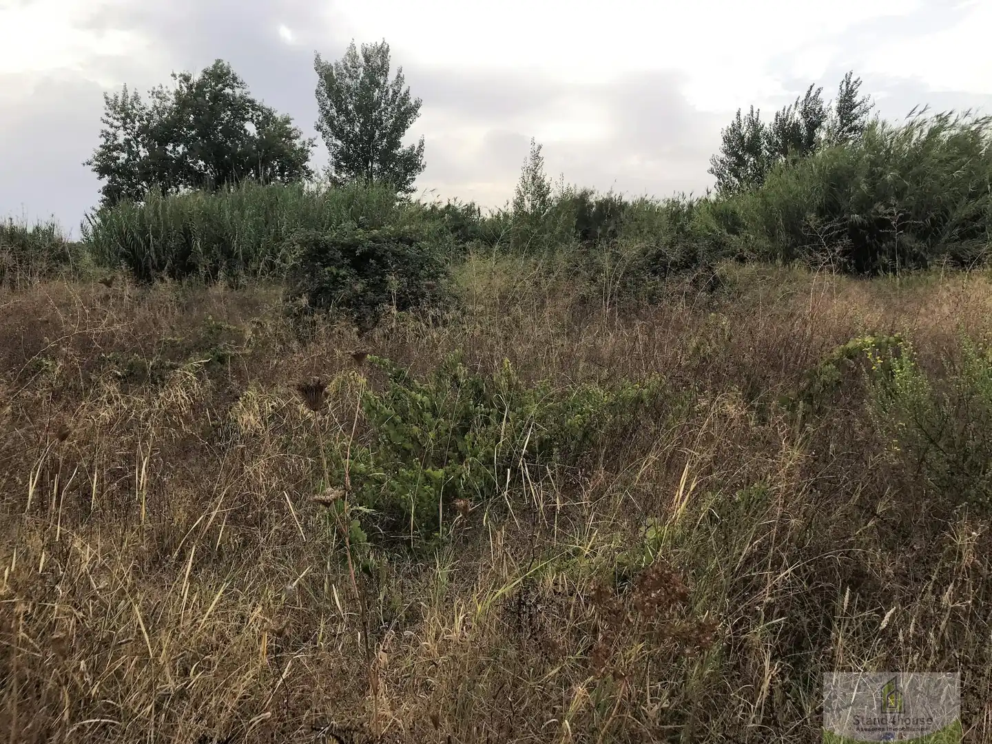 Residencial de alquiler en Bollullos Par del Condado