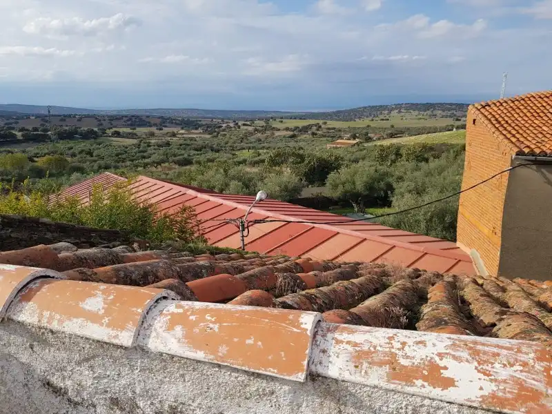 Jardín de Casa o chalet en venta en Mirabel con Jardín privado