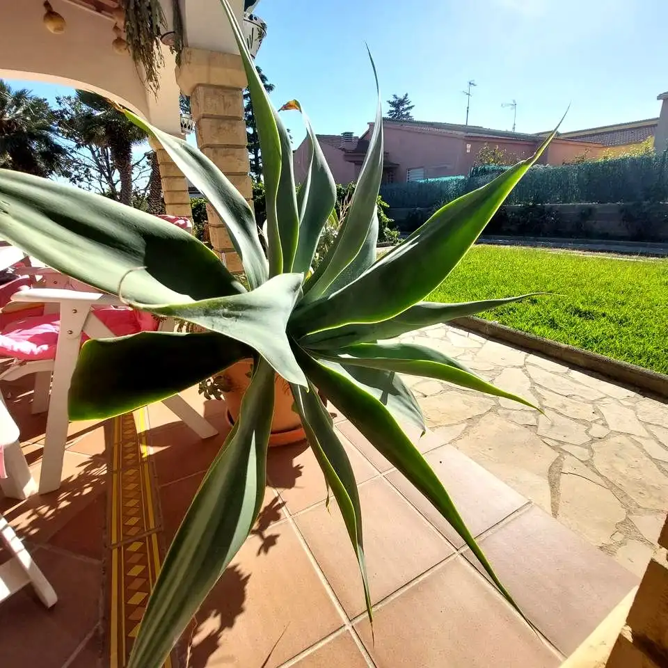 Jardín de Casa o chalet en venta en El Vendrell con Aire acondicionado, Calefacción y Jardín privado