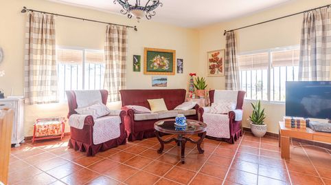 Foto 5 de Finca rústica en venta en Motril ciudad, Motril