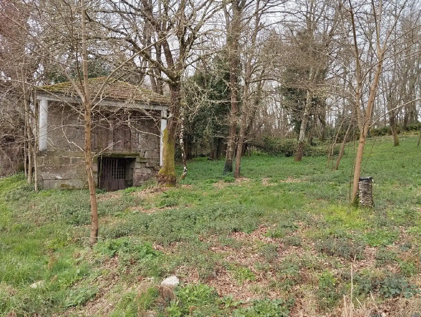 Haus zum Verkauf in Nogueira de Ramuín, imagen 8