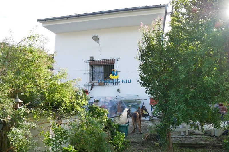 Exterior view of House or chalet for sale in Massanes  with Private garden, Terrace and Swimming Pool