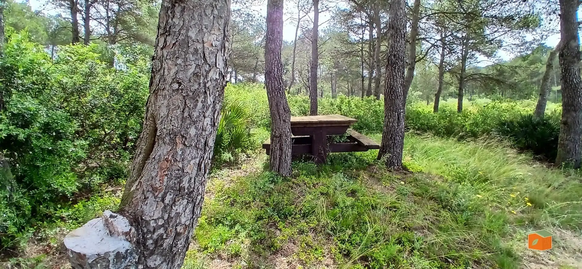 Casa rustica con piscina in vendita a El Perelló, imagen 53