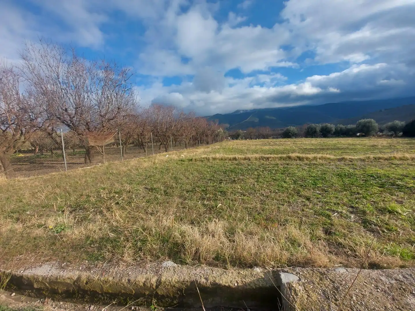 Rural land for sale in Laujar de Andarax, imagen 4