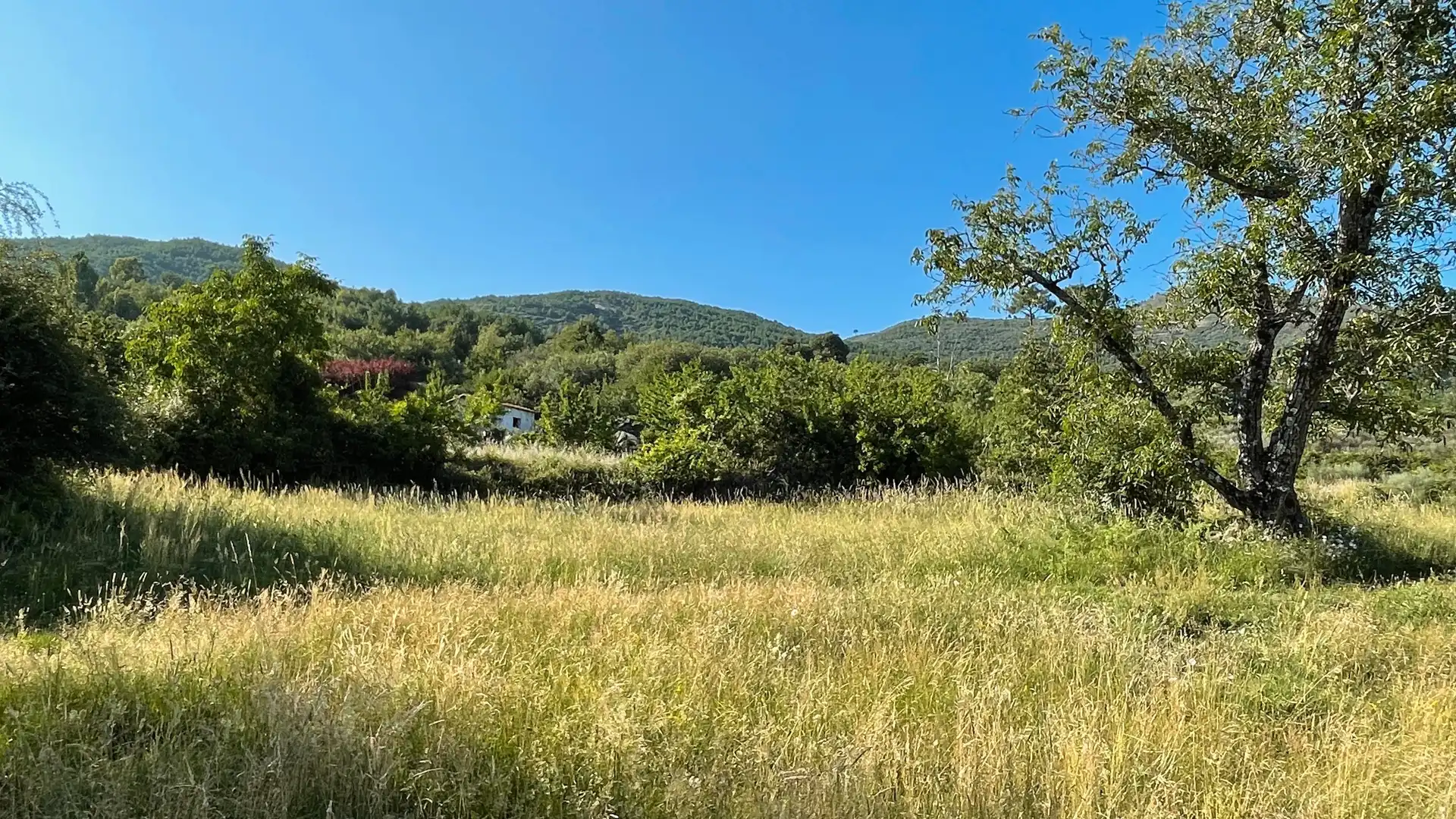 Grundstücke zum Verkauf in El Arenal 