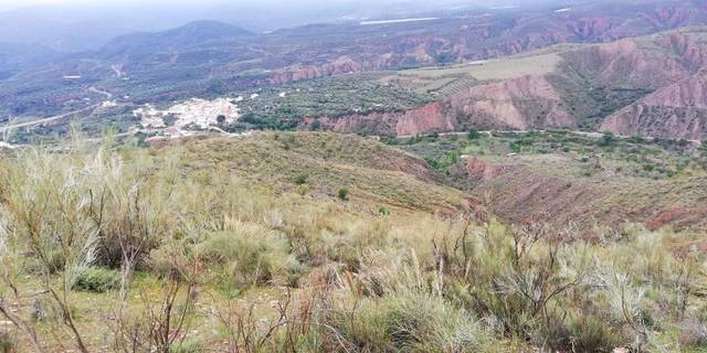Terreno en Venta en CORTIJO LA CARA en Ugíjar