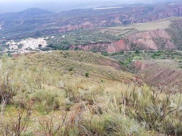 Terreno rustico in vendita a CORTIJO LA CARA